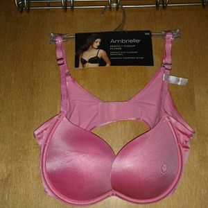 Ambrielle Perfect Pushup Plunge Bra (size 36B)